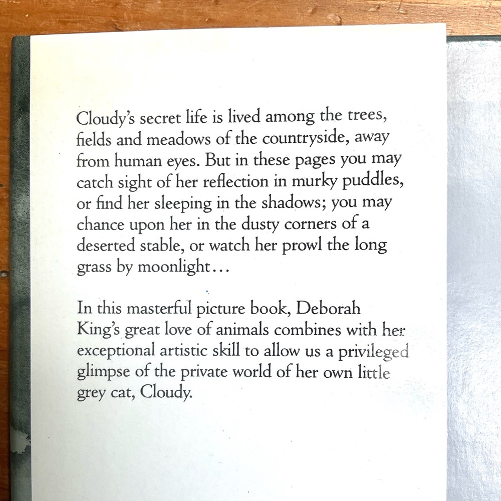 Children’s Book - “CLOUDY” - Picture 2 of 9